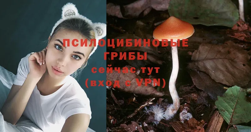 Псилоцибиновые грибы MAGIC MUSHROOMS  Болгар 